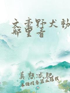 文豪野犬动漫在哪里看