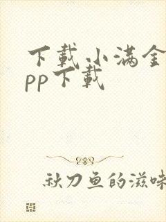 下载小满金融app下载