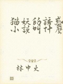 猫妖的诱惑原著小说叫什么