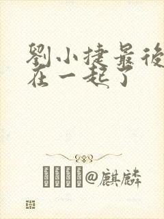 刘小捷最后和谁在一起了