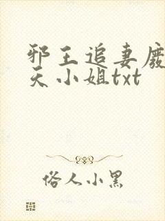 邪王追妻废材逆天小姐txt