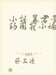 小说 暴君爹爹的团宠小娇包