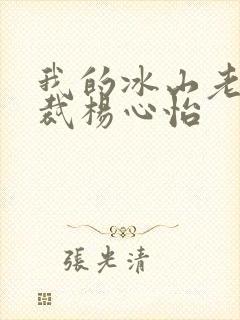 我的冰山老婆总裁杨心怡