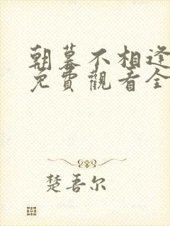 朝暮不相逢短剧免费观看全集