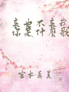 来也不来我都等你是什么歌