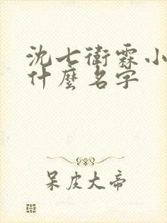 沈七卫霖小说叫什么名字