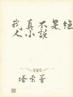 我真不是绝世高人小说