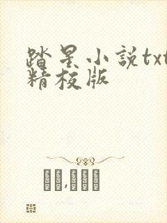 踏星小说txt精校版