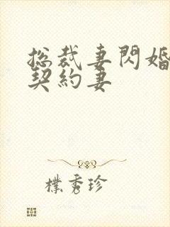 总裁妻闪婚总裁契约妻