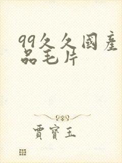 99久久国产精品毛片