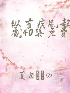 纵有疾风起电视剧40集免费