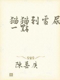 猫猫到处尿一点一点