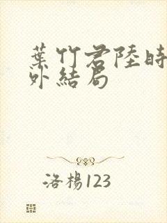 叶竹君陆时琛番外结局