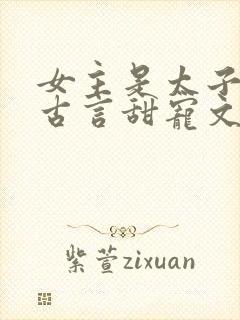 女主是太子妃的古言甜宠文