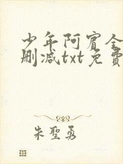 少年阿宾全文无删减txt免费下载