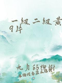 一级二级黄色99片