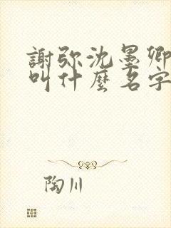 谢弥沈墨卿小说叫什么名字