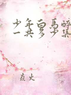 少年白马醉春风一共多少集