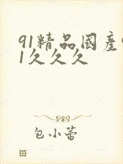 91精品国产91久久久