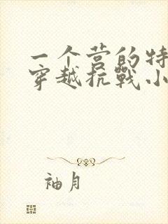 一个营的特种兵穿越抗战小说