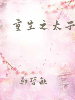 重生之太子爷