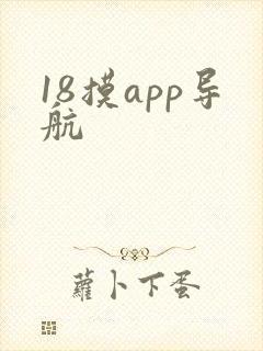 18摸app导航