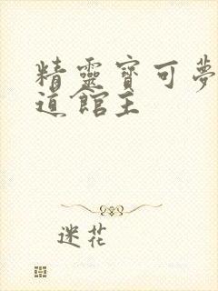 精灵宝可梦剑盾道馆主