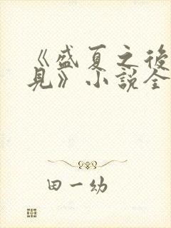 《盛夏之后不再见》小说全文阅读