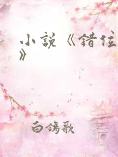 小说《错位关系》