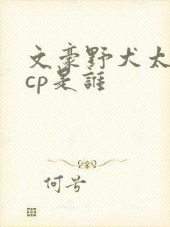 文豪野犬太宰治cp是谁