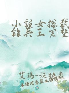 小说女总裁的全能兵王完整版