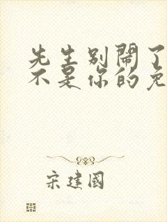 先生别闹了新娘不是你的免费观看大结局