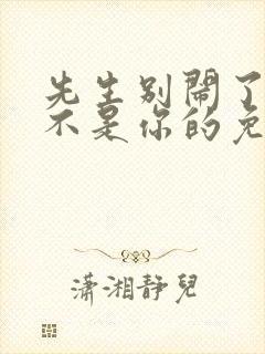 先生别闹了新娘不是你的免费观看全集