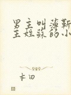 男主叫薄靳言女主姓苏的小说