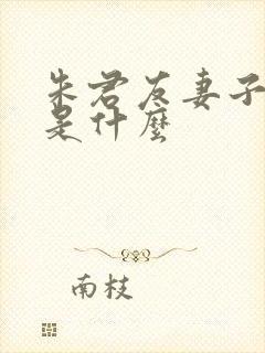 朱君友妻子结局是什么