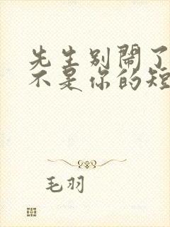 先生别闹了新娘不是你的短剧免费版观看