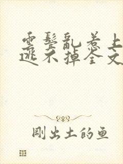 云鬓乱惹上权臣逃不掉全文免费