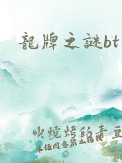 龙牌之谜bt