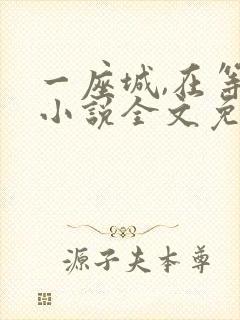 一座城,在等你小说全文免费阅读