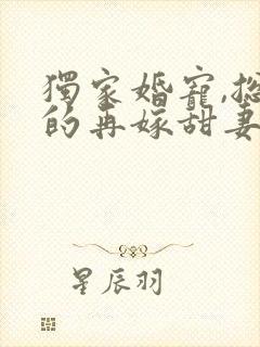 独家婚宠,总裁的再嫁甜妻