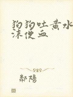 狗狗吐黄水带泡沫便血