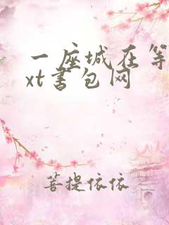 一座城在等你txt书包网