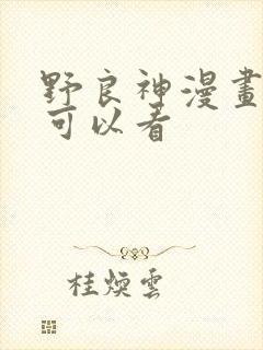 野良神漫画哪里可以看