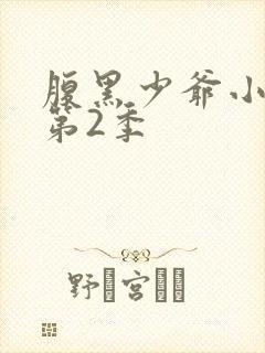 腹黑少爷小甜妻第2季