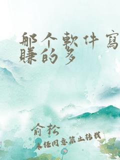 那个软件写小说赚的多