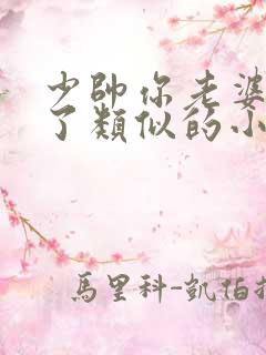 少帅你老婆又跑了类似的小说