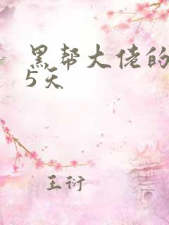 黑帮大佬的365天