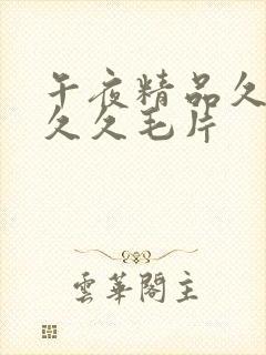 午夜精品久久久久久毛片