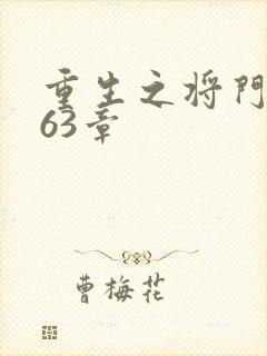 重生之将门毒后63章