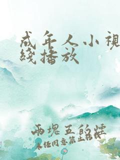 成年人小视频在线播放